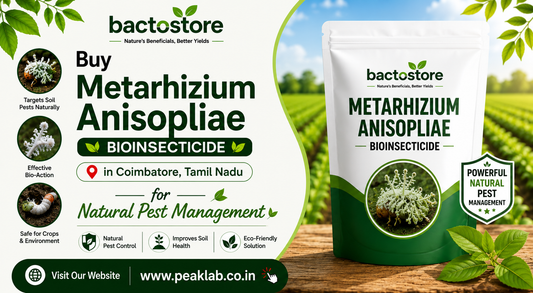 Buy Metarhizium Anisopliae in Coimbatore, Tamil Nadu for Natural Pest Management