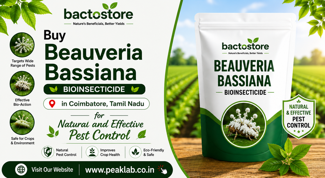 Buy Beauveria Bassiana in Coimbatore, Tamil Nadu for Natural and Effective Pest Control