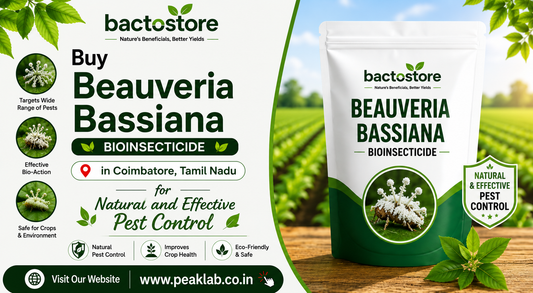 Buy Beauveria Bassiana in Coimbatore, Tamil Nadu for Natural and Effective Pest Control