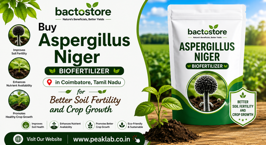 Buy Aspergillus Niger Biofertilizer in Coimbatore, Tamil Nadu for Better Soil Fertility and Crop Growth
