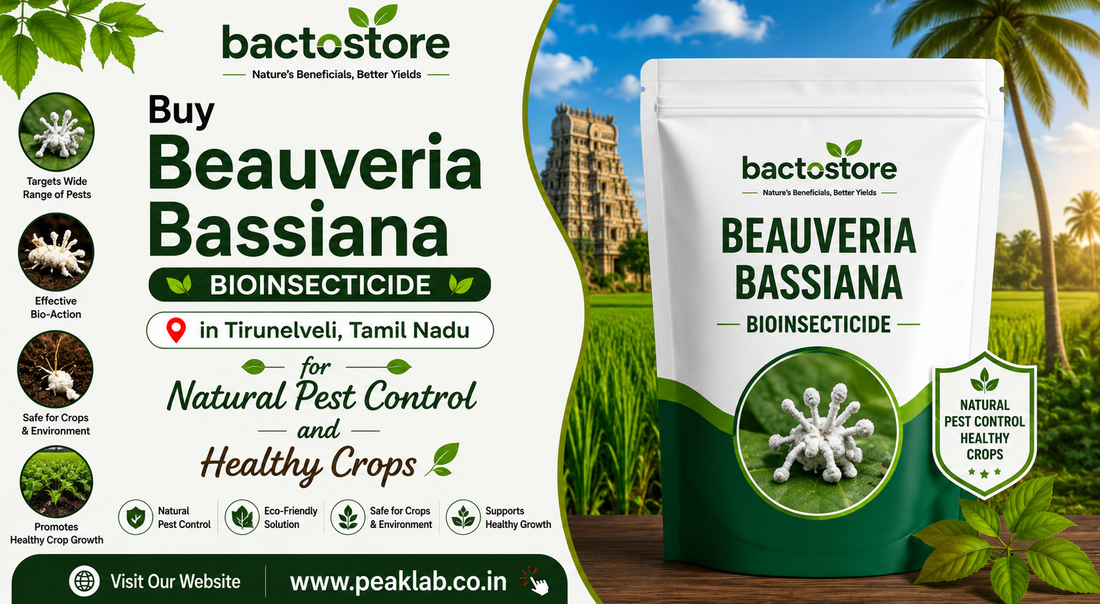 Buy Beauveria Bassiana in Tirunelveli, Tamil Nadu for Natural Pest Control and Healthy Crops