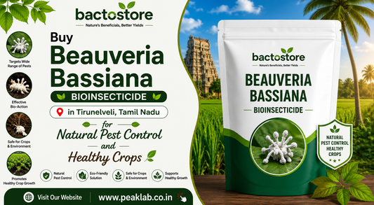 Buy Beauveria Bassiana in Tirunelveli, Tamil Nadu for Natural Pest Control and Healthy Crops
