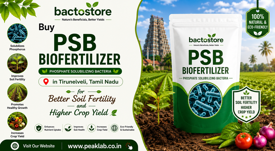 Buy PSB Biofertilizer in Tirunelveli, Tamil Nadu for Better Soil Fertility and Higher Crop Yield