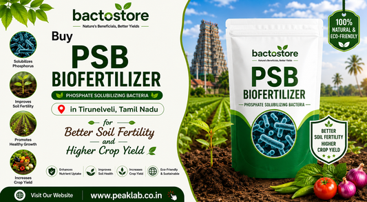 Buy PSB Biofertilizer in Tirunelveli, Tamil Nadu for Better Soil Fertility and Higher Crop Yield