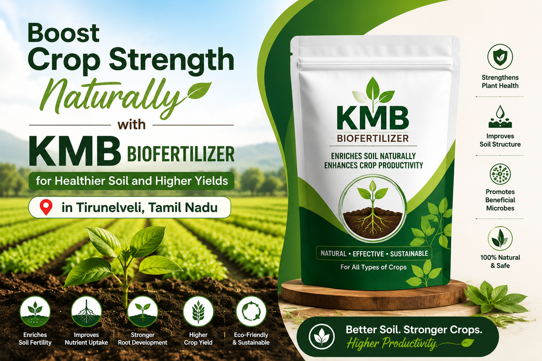 Boost Crop Strength Naturally with KMB Biofertilizer in Tirunelveli, Tamil Nadu
