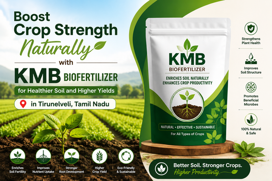 Boost Crop Strength Naturally with KMB Biofertilizer in Tirunelveli, Tamil Nadu