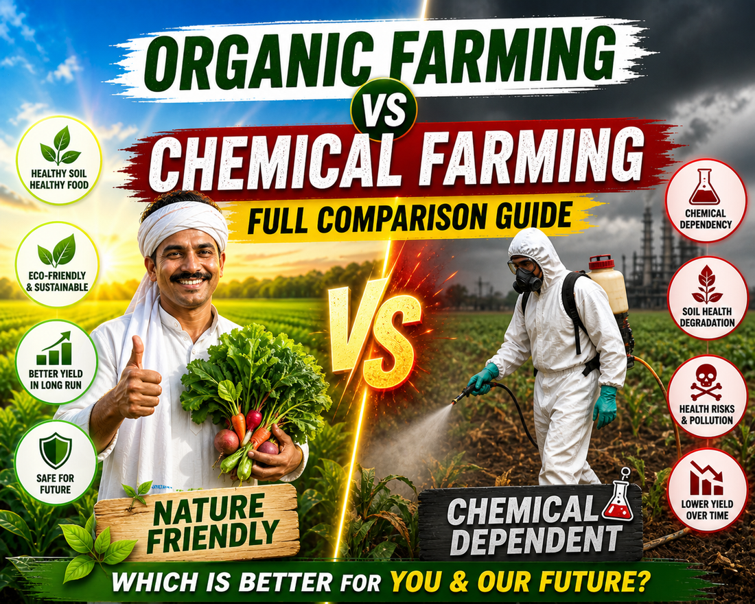 Organic Farming vs Chemical Farming – Full Comparison Guide