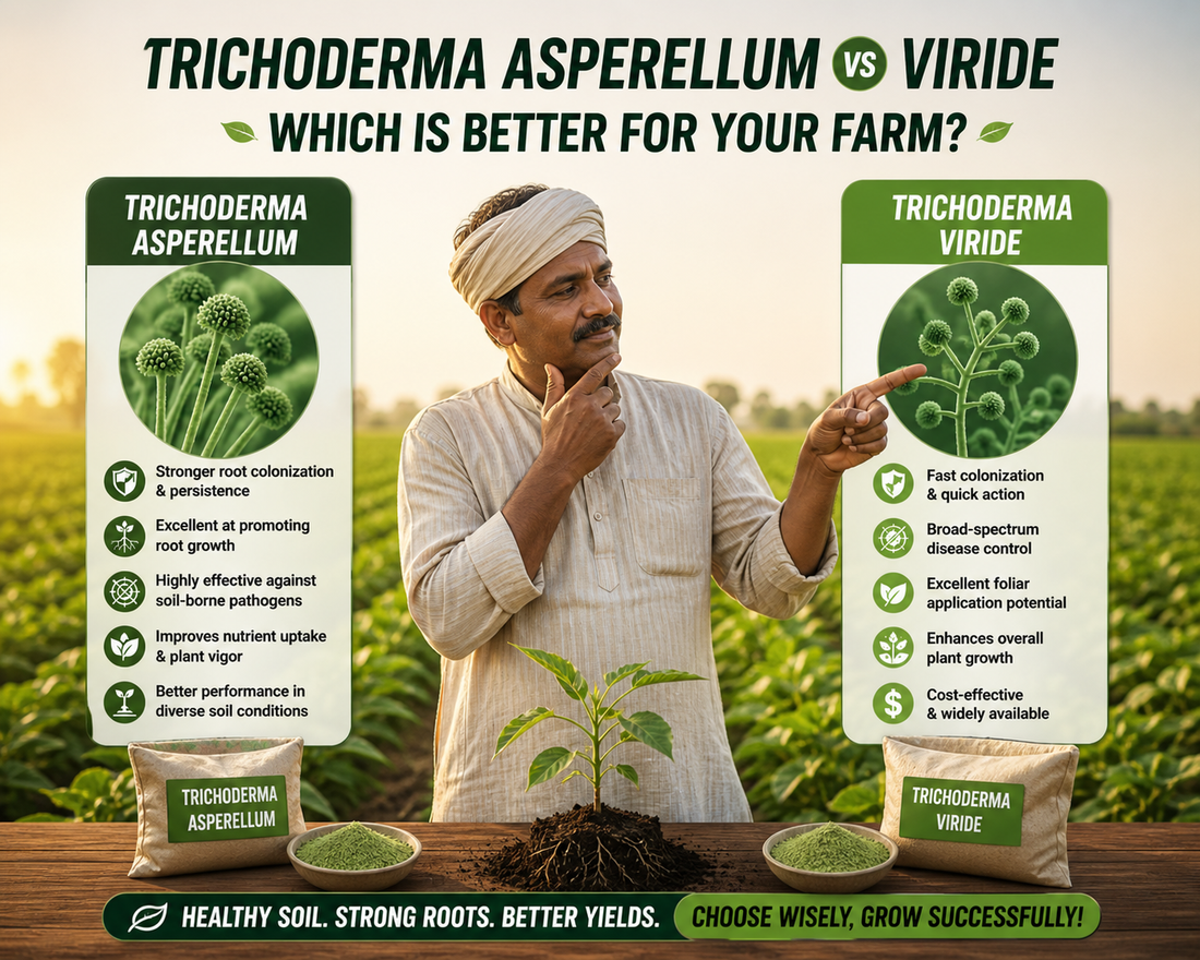 Trichoderma Asperellum vs Viride – Which is Better for Agriculture?