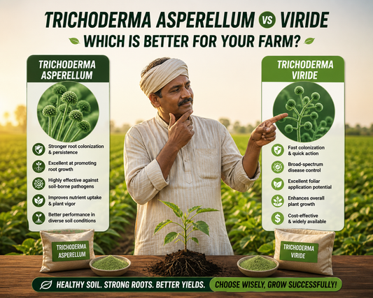 Trichoderma Asperellum vs Viride – Which is Better for Agriculture?