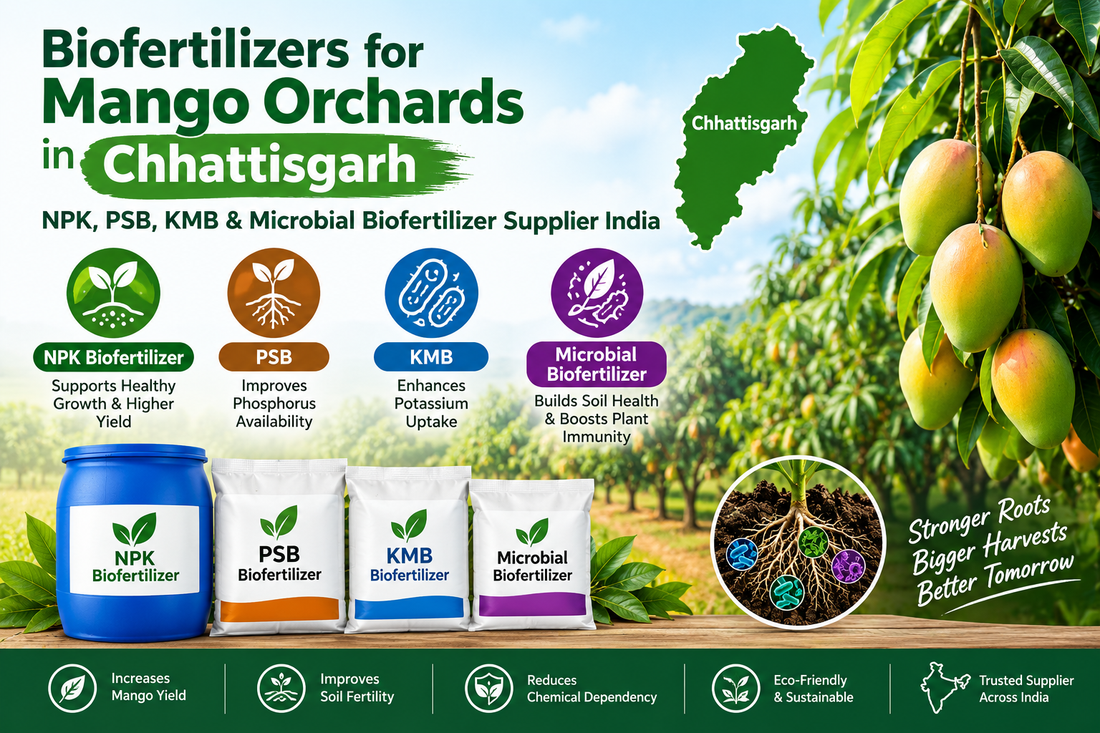 Biofertilizers for Mango Orchards in Chhattisgarh | NPK, PSB, KMB & Microbial Biofertilizer Supplier India