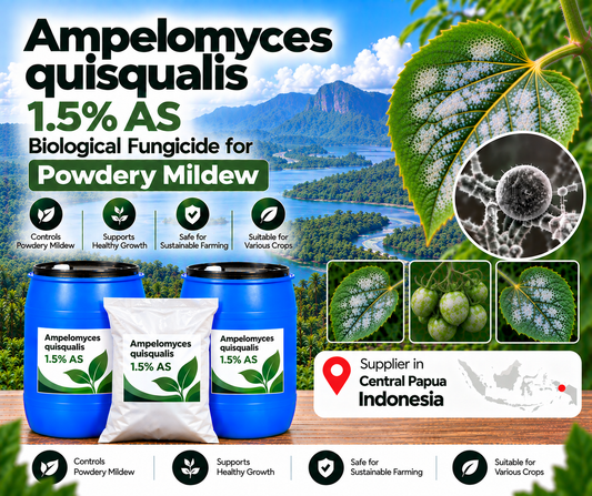 Ampelomyces quisqualis 1.5% AS Supplier in Central Papua Indonesia | Biological Fungicide for Powdery Mildew