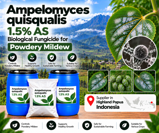 Ampelomyces quisqualis 1.5% AS Supplier in Highland Papua Indonesia | Biological Fungicide for Powdery Mildew