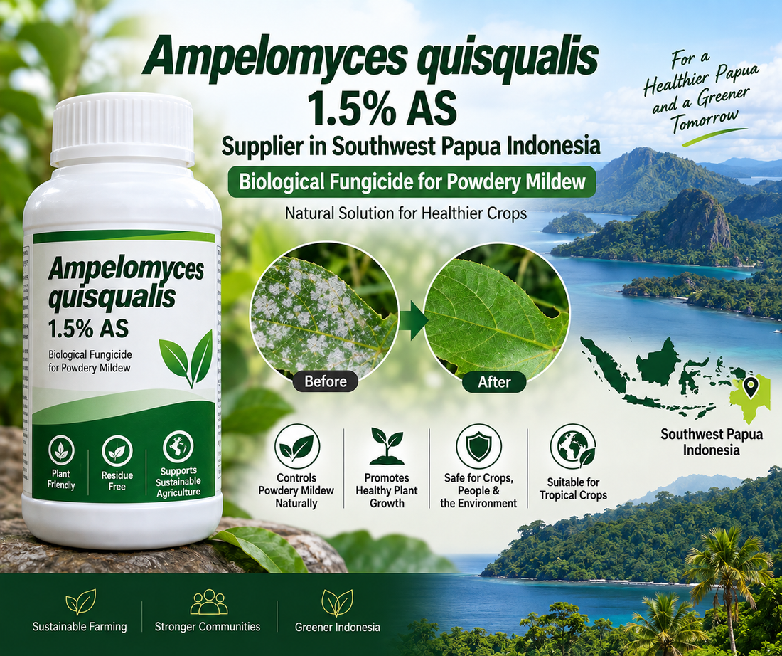 Ampelomyces quisqualis 1.5% AS Supplier in Southwest Papua Indonesia | Biological Fungicide for Powdery Mildew