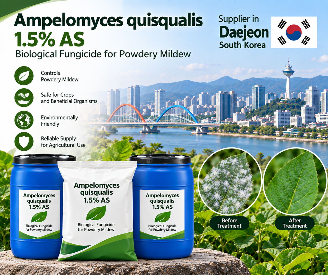 Ampelomyces quisqualis 1.5% AS Supplier in Daejeon South Korea | Biological Fungicide for Powdery Mildew