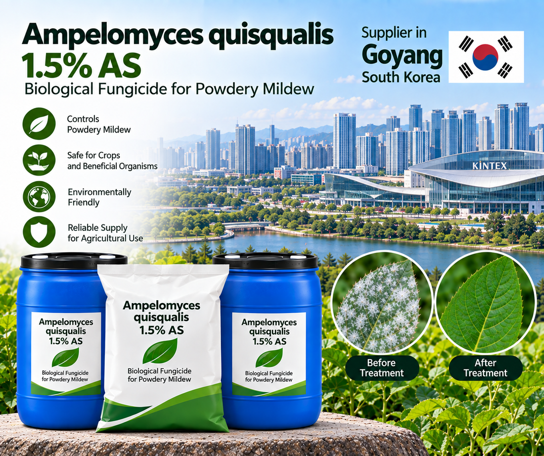 Ampelomyces quisqualis 1.5% AS Supplier in Goyang South Korea | Biological Fungicide for Powdery Mildew
