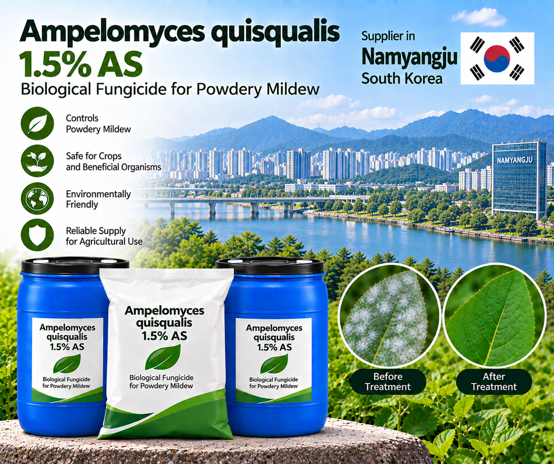 Ampelomyces quisqualis 1.5% AS Supplier in Namyangju South Korea | Biological Fungicide for Powdery Mildew