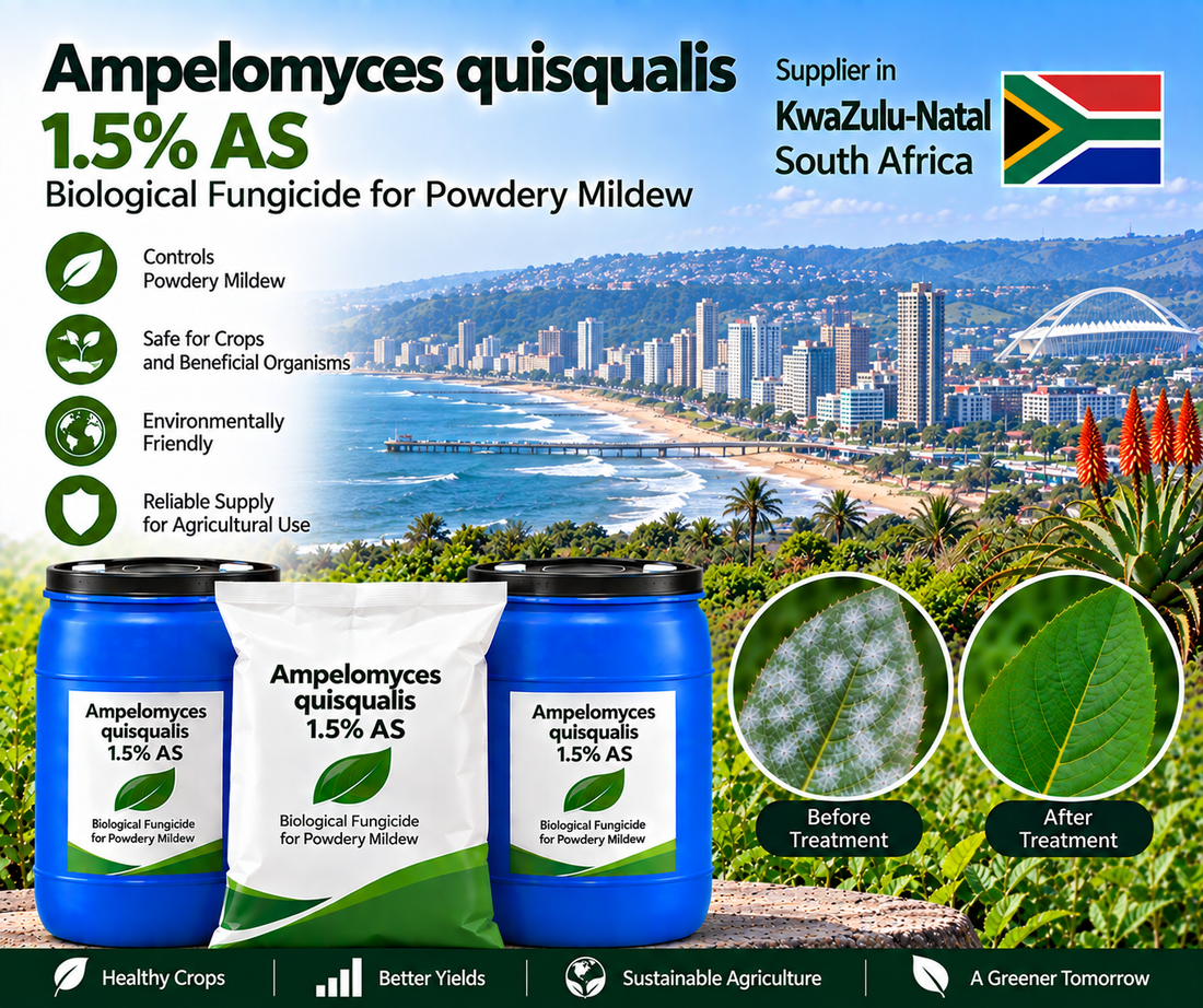 Ampelomyces quisqualis 1.5% AS Supplier in KwaZulu-Natal South Africa | Biological Fungicide for Powdery Mildew