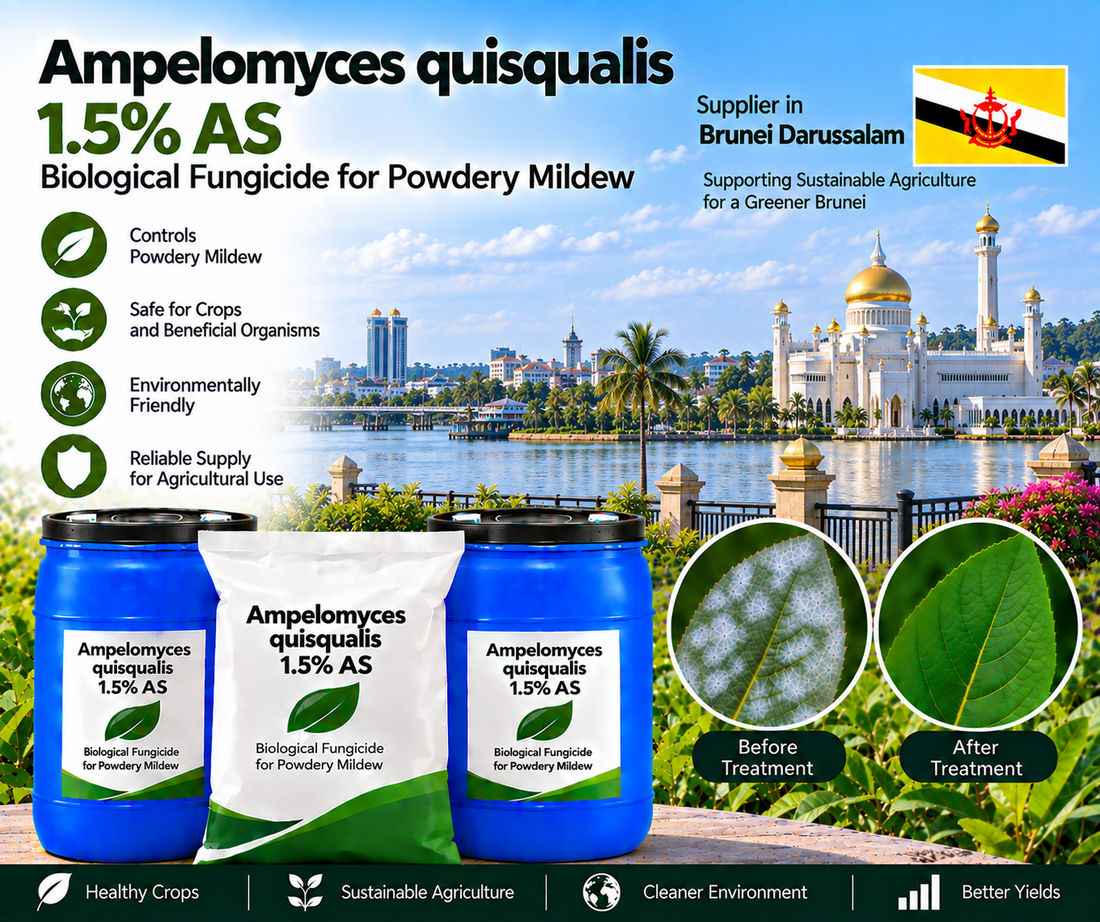 Ampelomyces quisqualis 1.5% AS Supplier in Brunei Darussalam | Biological Fungicide for Powdery Mildew