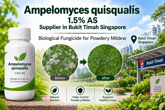 Ampelomyces quisqualis 1.5% AS Supplier in Bukit Timah Singapore | Biological Fungicide for Powdery Mildew