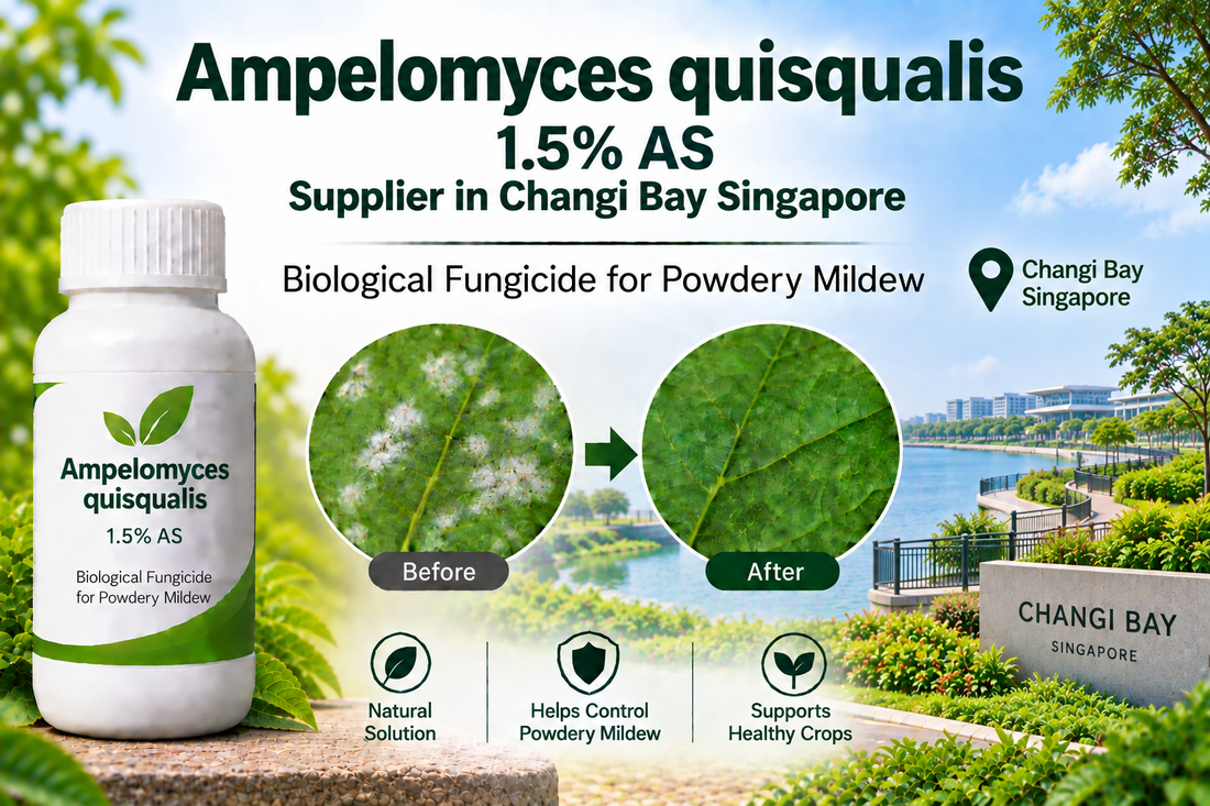 Ampelomyces quisqualis 1.5% AS Supplier in Changi Bay Singapore | Biological Fungicide for Powdery Mildew