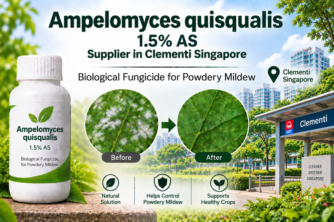 Ampelomyces quisqualis 1.5% AS Supplier in Clementi Singapore | Biological Fungicide for Powdery Mildew
