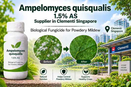 Ampelomyces quisqualis 1.5% AS Supplier in Clementi Singapore | Biological Fungicide for Powdery Mildew