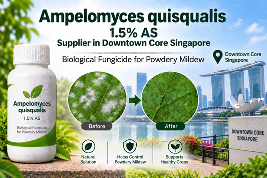 Ampelomyces quisqualis 1.5% AS Supplier in Downtown Core Singapore | Biological Fungicide for Powdery Mildew