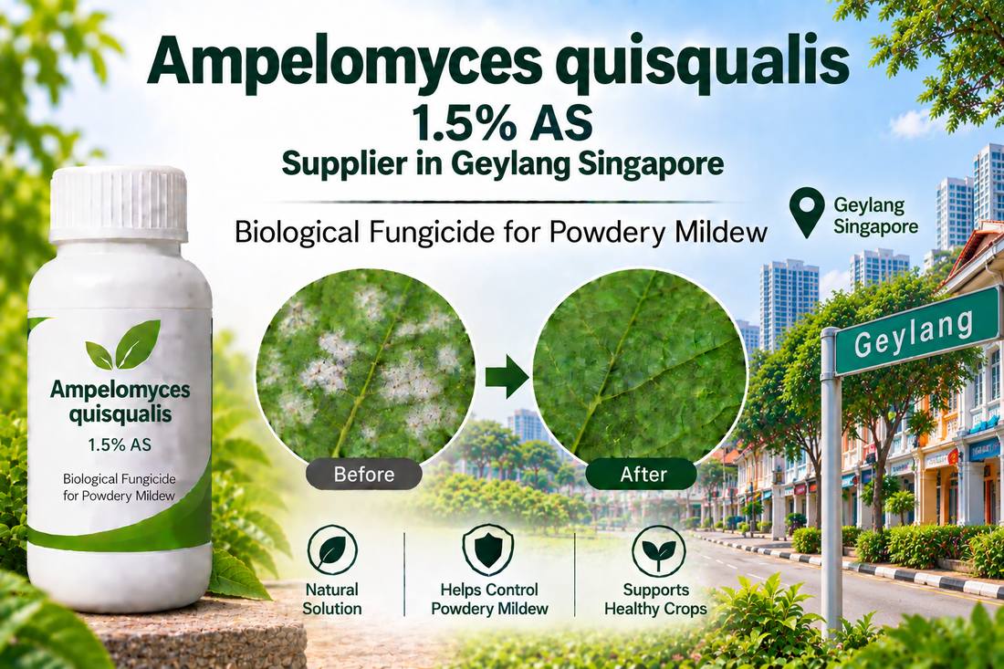 Ampelomyces quisqualis 1.5% AS Supplier in Geylang Singapore | Biological Fungicide for Powdery Mildew