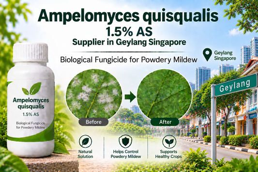 Ampelomyces quisqualis 1.5% AS Supplier in Geylang Singapore | Biological Fungicide for Powdery Mildew