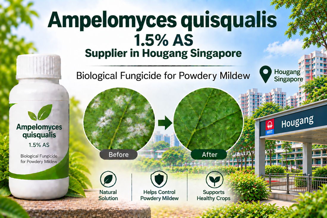 Ampelomyces quisqualis 1.5% AS Supplier in Hougang Singapore | Biological Fungicide for Powdery Mildew