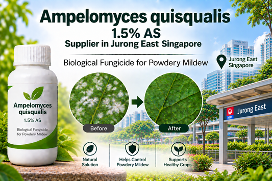 Ampelomyces quisqualis 1.5% AS Supplier in Jurong East Singapore | Biological Fungicide for Powdery Mildew