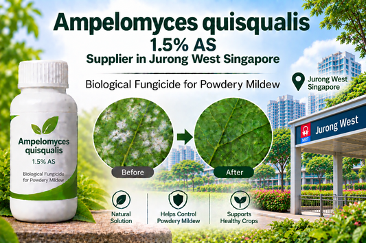 Ampelomyces quisqualis 1.5% AS Supplier in Jurong West Singapore | Biological Fungicide for Powdery Mildew