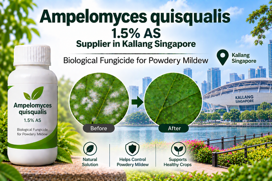 Ampelomyces quisqualis 1.5% AS Supplier in Kallang Singapore | Biological Fungicide for Powdery Mildew