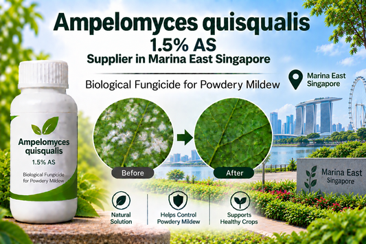 Ampelomyces quisqualis 1.5% AS Supplier in Marina East Singapore | Biological Fungicide for Powdery Mildew