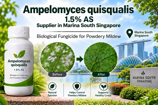 Ampelomyces quisqualis 1.5% AS Supplier in Marina South Singapore | Biological Fungicide for Powdery Mildew