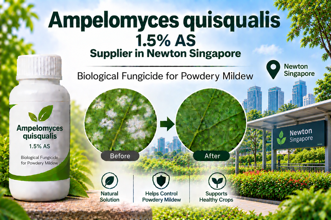 Ampelomyces quisqualis 1.5% AS Supplier in Newton Singapore | Biological Fungicide for Powdery Mildew