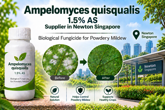 Ampelomyces quisqualis 1.5% AS Supplier in Newton Singapore | Biological Fungicide for Powdery Mildew