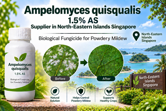 Ampelomyces quisqualis 1.5% AS Supplier in North-Eastern Islands Singapore | Biological Fungicide for Powdery Mildew