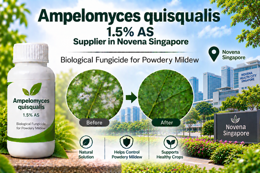 Ampelomyces quisqualis 1.5% AS Supplier in Novena Singapore | Biological Fungicide for Powdery Mildew