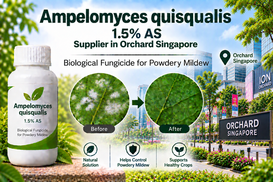 Ampelomyces quisqualis 1.5% AS Supplier in Orchard Singapore | Biological Fungicide for Powdery Mildew