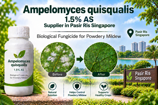 Ampelomyces quisqualis 1.5% AS Supplier in Pasir Ris Singapore | Biological Fungicide for Powdery Mildew