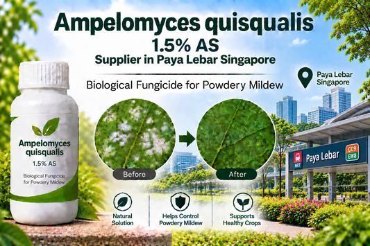 Ampelomyces quisqualis 1.5% AS Supplier in Paya Lebar Singapore | Biological Fungicide for Powdery Mildew