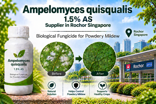 Ampelomyces quisqualis 1.5% AS Supplier in Rochor Singapore | Biological Fungicide for Powdery Mildew