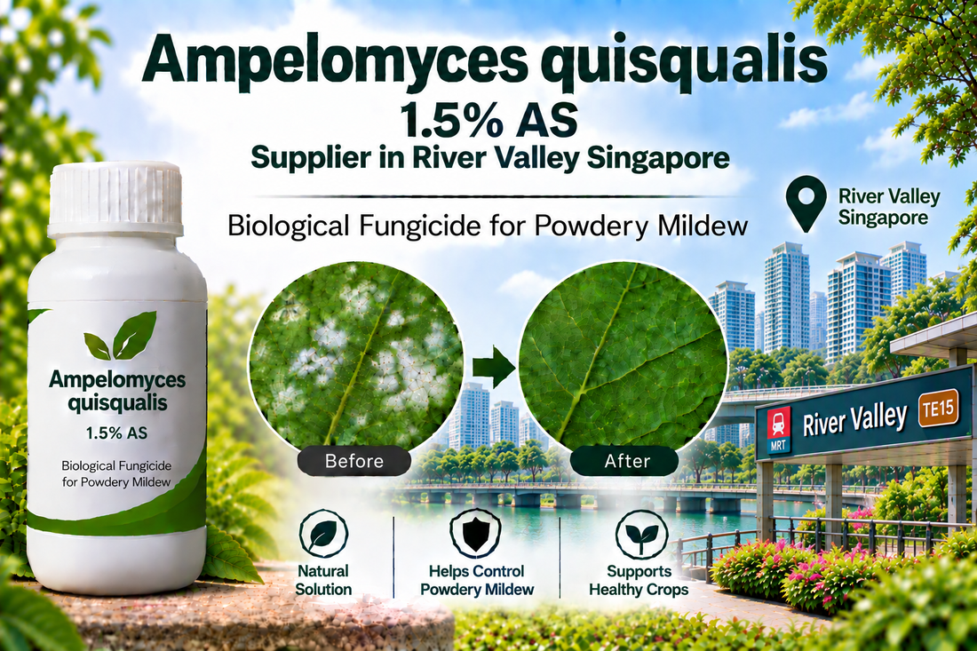 Ampelomyces quisqualis 1.5% AS Supplier in River Valley Singapore | Biological Fungicide for Powdery Mildew