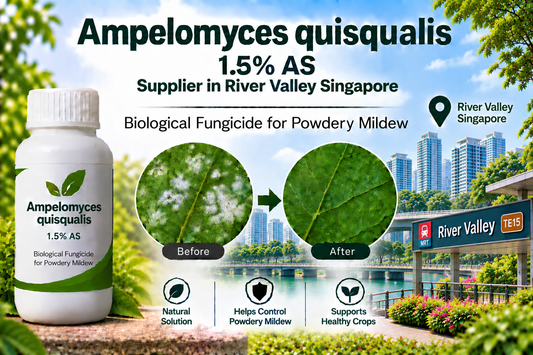 Ampelomyces quisqualis 1.5% AS Supplier in River Valley Singapore | Biological Fungicide for Powdery Mildew