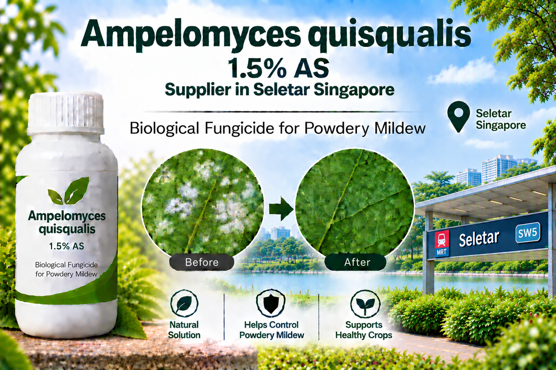Ampelomyces quisqualis 1.5% AS Supplier in Seletar Singapore | Biological Fungicide for Powdery Mildew