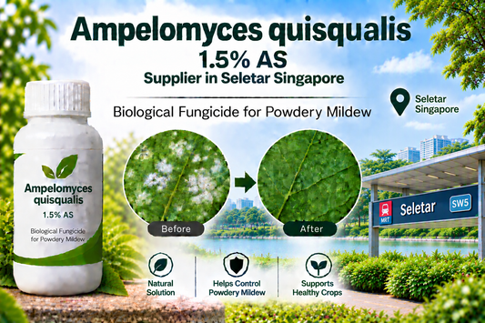 Ampelomyces quisqualis 1.5% AS Supplier in Seletar Singapore | Biological Fungicide for Powdery Mildew