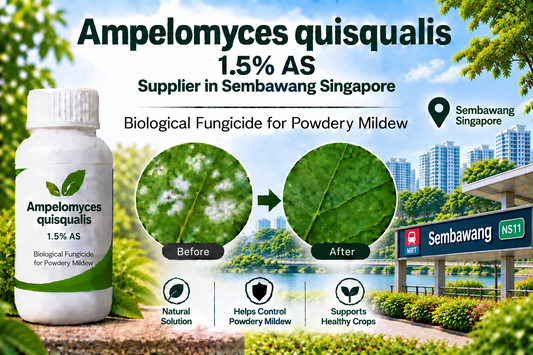 Ampelomyces quisqualis 1.5% AS Supplier in Sembawang Singapore | Biological Fungicide for Powdery Mildew