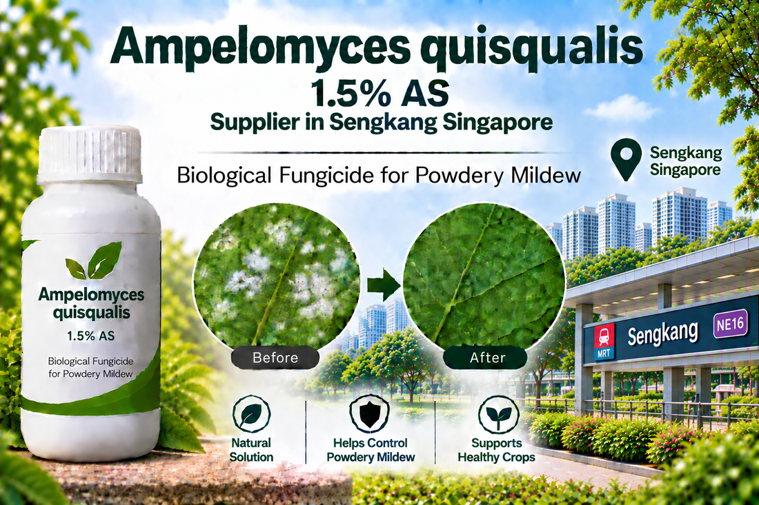 Ampelomyces quisqualis 1.5% AS Supplier in Sengkang Singapore | Biological Fungicide for Powdery Mildew
