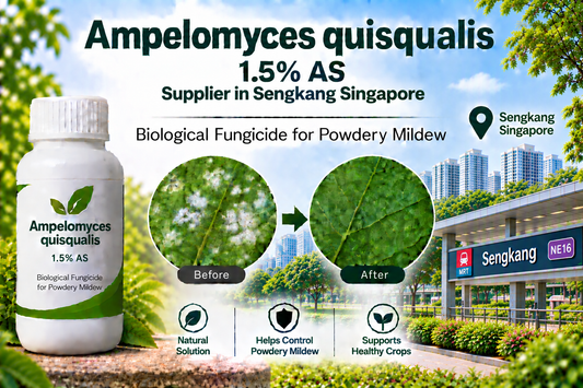 Ampelomyces quisqualis 1.5% AS Supplier in Sengkang Singapore | Biological Fungicide for Powdery Mildew